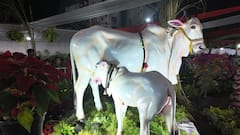 Yanam Flowers Show 2025: పుష్ప-2లో ఎడ్ల బండి సీన్‌ను పూలతో తీర్చిదిద్దారు! ఎక్కడంటే?