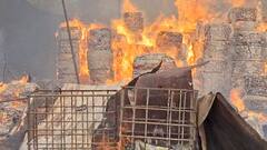 भिवंडीतील ओवळी गावात भंगाराच्या गोदामाला भीषण आग; चार ते पाच गोदाम आगीत भस्मसात