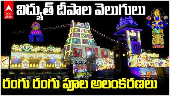 Tirumala Lighting and Flower Decoration | వైకుంఠ ఏకాదశి సందర్భంగా అందంగా ముస్తాబైన తిరుమల ఆలయం | ABP Desam