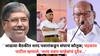 Chandrakant Patil : आढावा बैठकीत शरद पवारांकडून संघाचं कौतुक; चंद्रकांत पाटील म्हणाले, 'शरद पवार साहेबांचं दुर्दैव...'