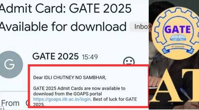 IIT Roorkee Responds To Viral GATE 2025 Idli Chutney Email டியர் இட்லி, சட்னி, நோ சாம்பார் சர்ச்சையைக் கிளப்பிய மெயில், மன்னிப்பு கேட்ட ஐஐடி- பின்னணி!