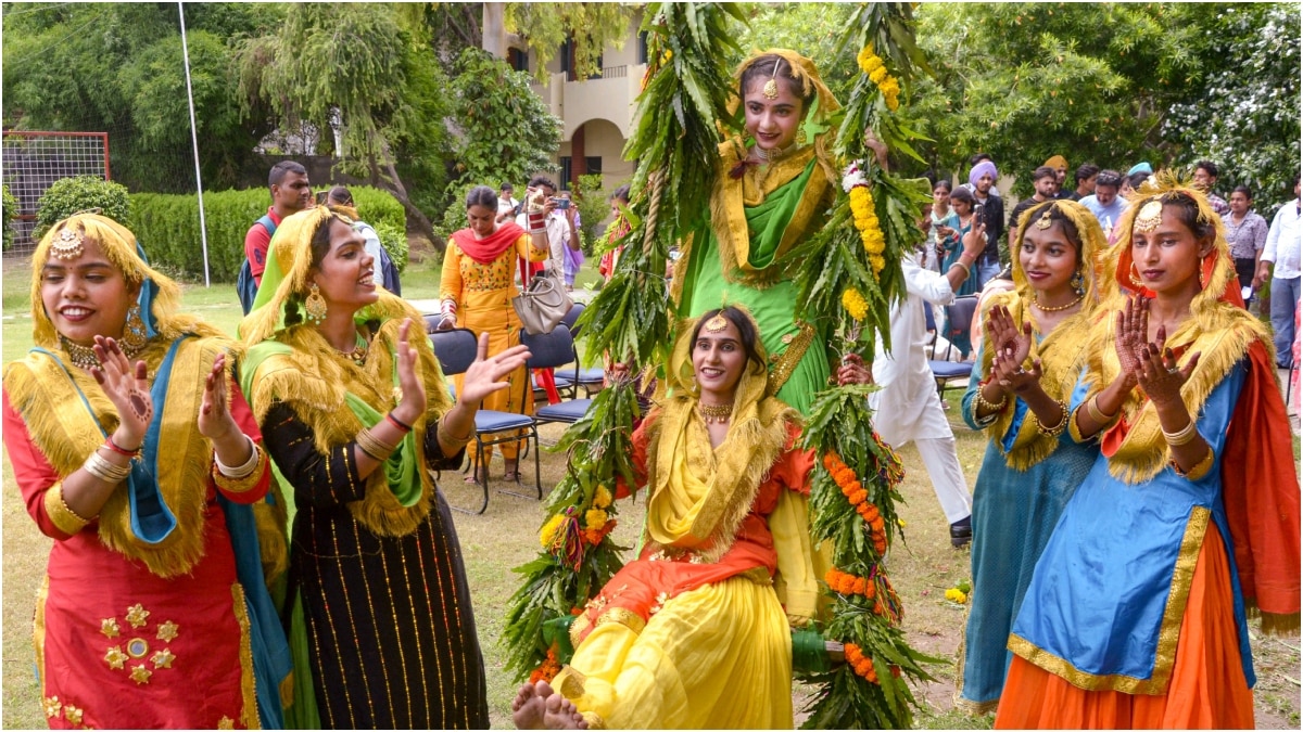 Punjab: पंजाब में लड़कियों के घटते जन्म दर ने बढ़ाई चिंता, चौंकाने वाले हैं पठानकोट के आंकड़े