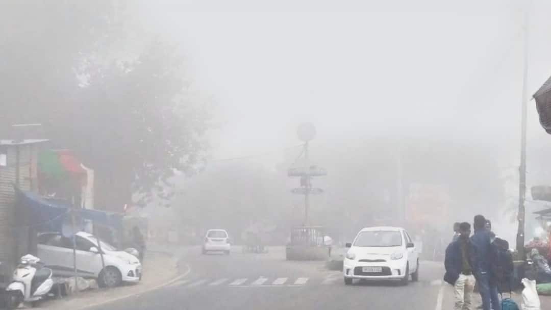 Himachal Weather: हिमाचल के मैदानी इलाकों में लोगों के लिए परेशानी बना घना कोहरा, शिमला में कैसा है मौसम? Himachal Pradesh Weather: Dense fog raises problem in Shimla ann Himachal Weather: हिमाचल के मैदानी इलाकों में लोगों के लिए परेशानी बना घना कोहरा, शिमला में कैसा है मौसम?