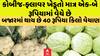Vegitable Price: કોબીજ-ફ્લાવર ખેડૂતો માત્ર એક-બે રૂપિયામાં વેચે છે, બજારમાં 40 રૂપિયે કિલો વેચાણ