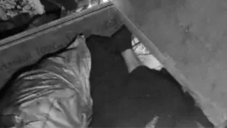 5 members of the same family were murdered by slitting their throats Bodies of husband and wife found in bedsheets 3 daughters in bed box एकाच कुटुंबातील 5 जणांची गळा चिरून हत्या; पती-पत्नीचा मृतदेह चादरीमध्ये, 3 मुली बेड बाॅक्समध्ये सापडल्या