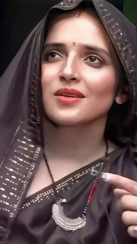 यूट्यूब के कितने चैनलों से कितना पैसा कमाती है सीमा हैदर?