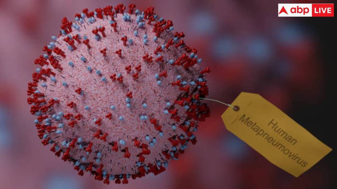 human metapneumovirus HMPV can be dangerous for children under 5 years old and people over 65 बच्चों के लिए या बुजुर्गों के लिए, जानें किस उम्र के लोगों के लिए खतरनाक है HMPV वायरस