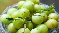 આ લોકોએ ભૂલમાં પણ ન કરવું જોઈએ આમળાનું સેવન, થઈ શકે છે ગંભીર નુકસાન