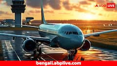 বিমানে প্রেমিকার সঙ্গে তুমুল বচসা, রাগে আপদকালীন দরজা ভেঙে এ কী করল যুবক ? দেখে শিউরে উঠবেন