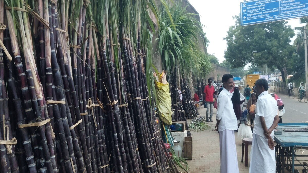 வந்திடுச்சு பொங்கல்... கரும்பு, மஞ்சள் பொருள்கள் விற்பனை அமோகம்