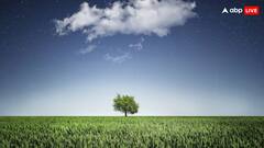 इस केमिकल के कारण पौधों का रंग होता है हरा, क्या इंसान कर सकता है इसका इस्तेमाल