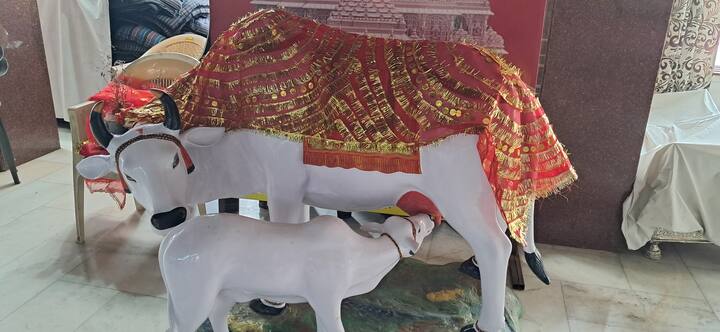 सूद सभा शिमला को उम्मीद है कि राज्य सरकार इस बारे में सकारात्मक के साथ विचार करेगी. राजीव सूद ने बताया कि अब भगवान राम की जाखू में जो मूर्ति स्थापित होनी है, उसकी ऊंचाई का प्रस्ताव 121 फीट का हो गया है.