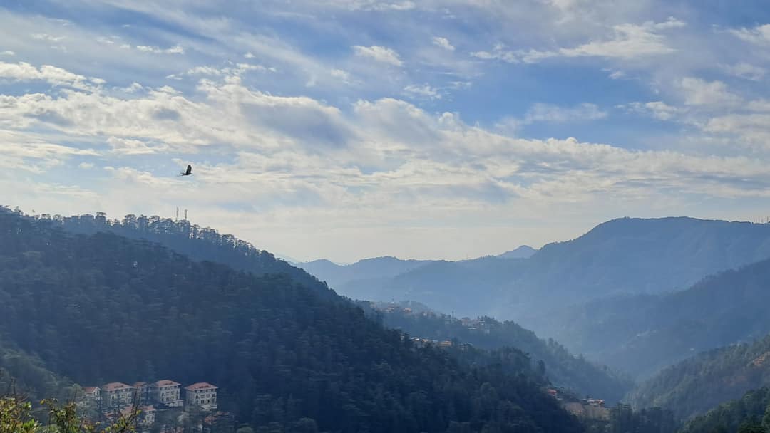 Himachal Weather: हिमाचल के इन इलाकों में बर्फबारी का अलर्ट, ताबो में माइनस 10.2 डिग्री तक लुढ़का तापमान Himachal Pradesh Weather Snowfall alert in high altitude areas Temperature dropped to minus 10.2 degrees in Tabo ann Himachal Weather: हिमाचल के इन इलाकों में बर्फबारी का अलर्ट, ताबो में माइनस 10.2 डिग्री तक लुढ़का तापमान