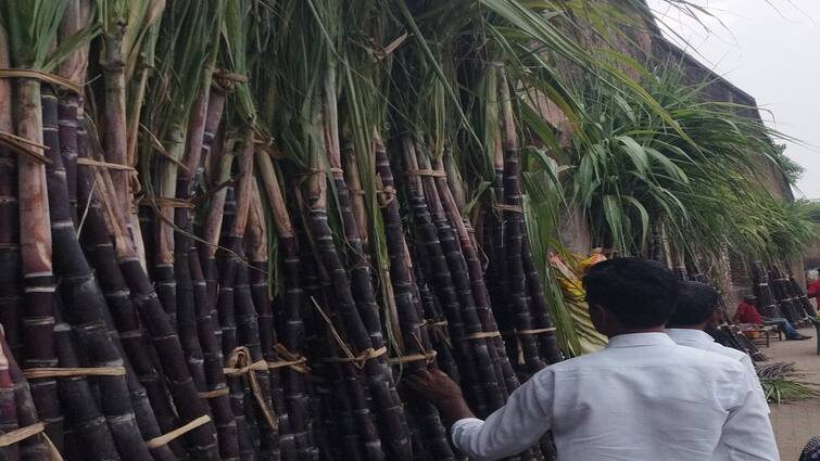 Pongal festival sale of sugarcane and yellow items is huge in thanjavur tnn வந்திடுச்சு பொங்கல்... கரும்பு, மஞ்சள் பொருள்கள் விற்பனை அமோகம்