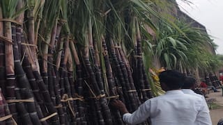 வந்திடுச்சு பொங்கல்... கரும்பு, மஞ்சள் பொருள்கள் விற்பனை அமோகம்
