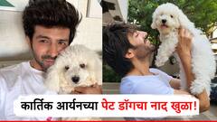 आश्चर्यम्! स्पेशल रुम, स्वत:चं नावही दिलं, कार्तिक आर्यनच्या क्युट पेट डॉगचे लाखो दिवाने, भारी थाट एकदा पाहाच