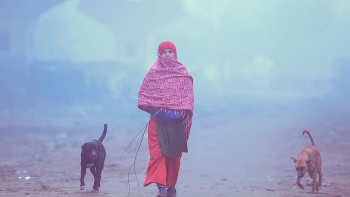 पहलगाम और गुलमर्ग में न्यूनतम तापमान गिरा है. मौसम विज्ञान ने बताया कि 12 जनवरी को कुछ हिस्सों में बारिश और बर्फबारी हो सकती है.