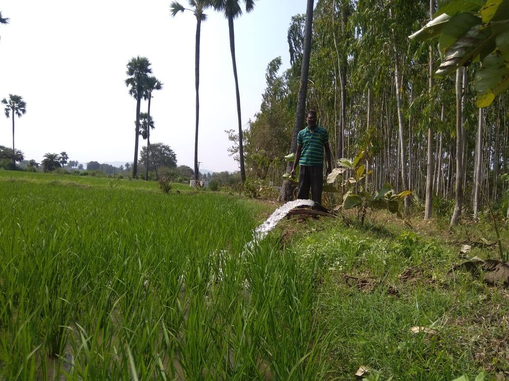 Rythu Bharosa Scheme Guidelines: రైతు భరోసా పథకం మార్గదర్శకాలు విడుదల చేసిన ప్రభుత్వం, తెలుగులోనే ఉత్తర్వులు