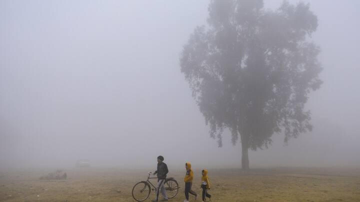 पश्चिमी विक्षोभ के सक्रिय होने से दिल्ली में आज बारिश हो सकती है. वहीं, सुबह के समय धुंध व मध्यम स्तर का कोहरा छाने की संभावना है. अधिकतम और न्यूनतम तापमान क्रमशः 17 और 11 डिग्री सेल्सियस के आसपास रहेगा