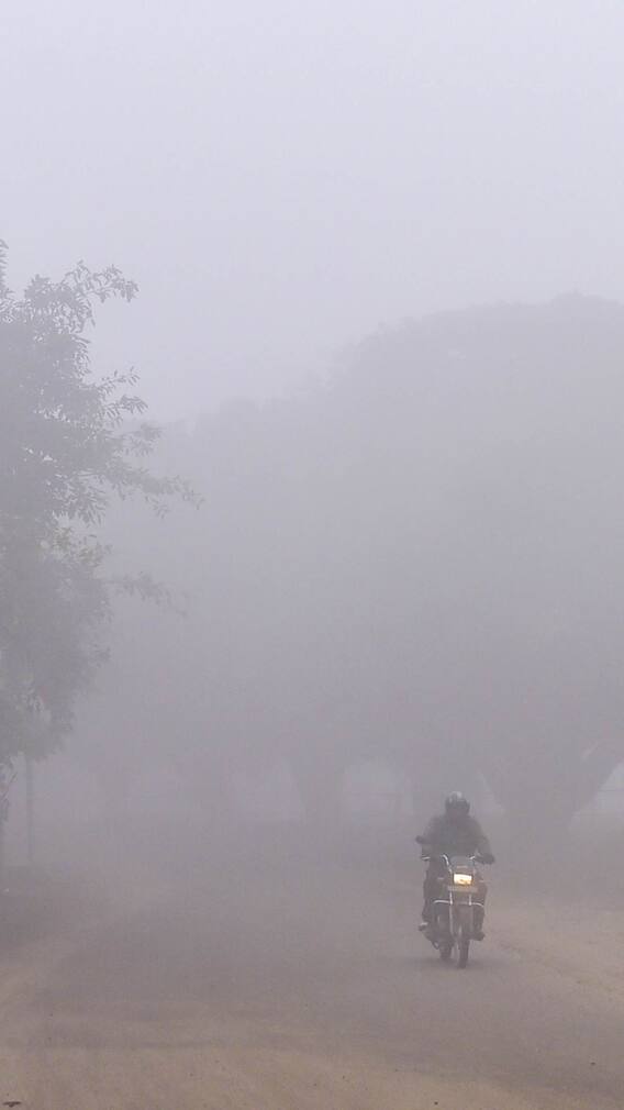 पंजाब और हरियाणा का आज और कल का कैसा रहेगा मौसम, बारिश कब होगी?