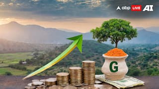 India GDP Growth Rate: ચોથા ક્વાર્ટરમાં GDP વૃદ્ધિ દર 7.4 ટકા રહ્યો, અનુમાન કરતા શાનદાર આંકડા 