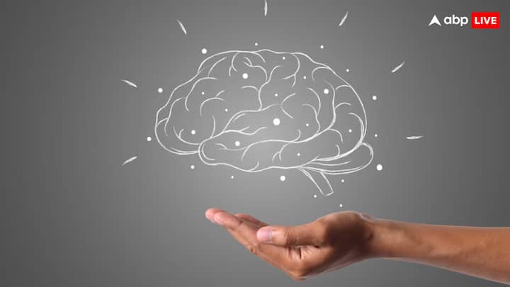 शरीर के सभी अंगों को निर्देश देने से लेकर डाटा एकत्र करने का काम दिमाग ही करता है. दिमाग के बिना इंसान का शरीर किसी काम का नहीं होता है. महिलाओं और पुरुष दोनों के शरीर में दिमाग का अहम रोल होता है.