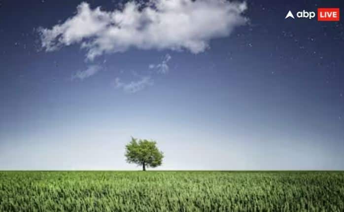 ਜੇ ਧਰਤੀ 'ਤੇ ਰੁੱਖ ਅਤੇ ਪੌਦੇ ਹਨ, ਤਾਂ ਜੀਵਨ ਹੈ ਕਿਉਂਕਿ ਇਨ੍ਹਾਂ ਰਾਹੀਂ ਹੀ ਮਨੁੱਖਾਂ ਨੂੰ ਆਪਣੇ ਬਚਾਅ ਲਈ ਆਕਸੀਜਨ ਗੈਸ ਮਿਲਦੀ ਹੈ। ਜੇ ਧਰਤੀ 'ਤੇ ਰੁੱਖ ਅਤੇ ਪੌਦੇ ਨਾ ਹੁੰਦੇ, ਤਾਂ ਮਨੁੱਖੀ ਜੀਵਨ ਦੀ ਕਲਪਨਾ ਕਰਨਾ ਮੁਸ਼ਕਲ ਹੁੰਦਾ।