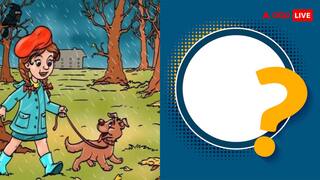 तस्वीर में छिपी गड़बड़ी का 7 सेकंड में दीजिए जवाब, बाजी मारने वाला ऑप्टिकल का कहलाएगा नवाब