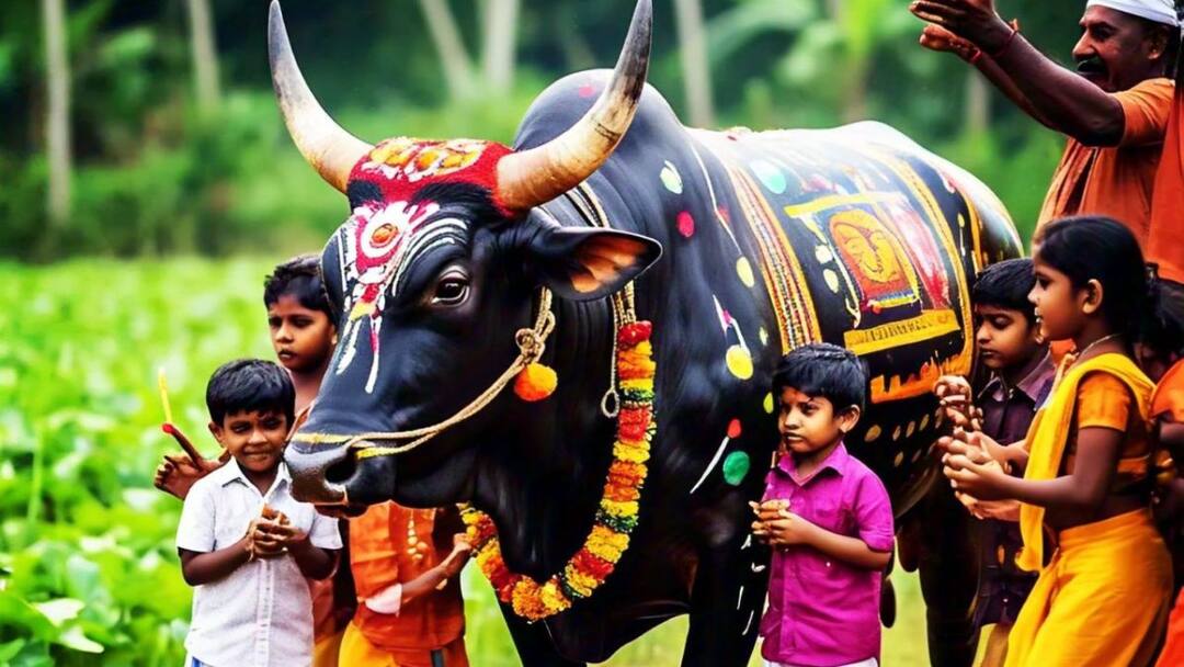 Pongal Holidays: போகி, பொங்கல், மாட்டுப் பொங்கல் தினம்: எந்த மாவட்டங்களில் கனமழை  பெய்யும்?