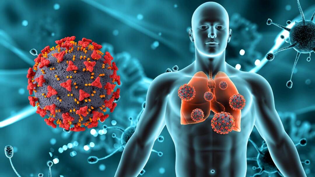 Hmpv Cases in China : చైనాలో తగ్గుముఖం పట్టిన హెచ్ఎంపీవీ కేసులు - కొత్త అంటు వ్యాధులపై అధికారుల కీలక ప్రకటన HMPV cases declining in China Hmpv Cases in China : చైనాలో తగ్గుముఖం పట్టిన హెచ్ఎంపీవీ కేసులు - కొత్త అంటు వ్యాధులపై అధికారుల కీలక ప్రకటన