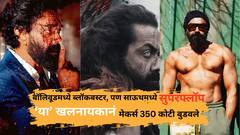 बॉलिवूडमध्ये ब्लॉकबस्टर, पण साऊथमध्ये सुपरफ्लॉप ठरला 'हा' खलनायक; मेकर्सचे 350 कोटी पाण्यात, प्रेक्षकांनी फिरवली पाठ