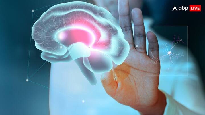 बता दें कि वयस्क पुरुष के मस्तिष्क का औसत वजन 1336 ग्राम और वयस्क महिला का 1198 ग्राम होता है. वहीं 20 वर्ष की आयु में पुरुष मस्तिष्क का औसत वजन लगभग 1400 ग्राम होता है और 65 वर्ष की आयु में मस्तिष्क का वजन लगभग 1300 ग्राम होता है.