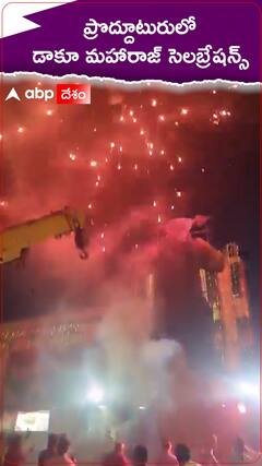 ప్రొద్దుటూరులో డాకూ మహారాజ్ మాస్ సెలబ్రేషన్స్