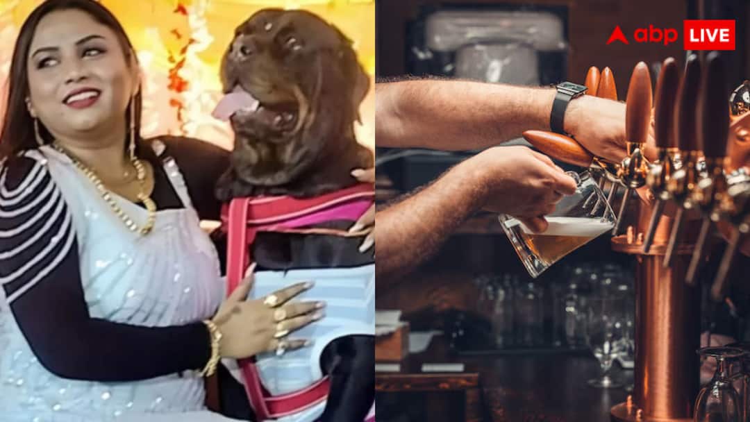 Woman spends Rs 5 lakh on her dog birthday party goes viral बहुत पैसा है! कुत्ते के बर्थडे पर काटा 40 हजार का केक, लाइव म्यूजिक कॉन्सर्ट भी रखा, वायरल हो रही अमीरी
