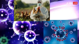 नोरोवायरस-बर्ड फ्लू या कोविड-19... सर्दियों में कौन ज्यादा खतरनाक और इनसे कैसे बचें?