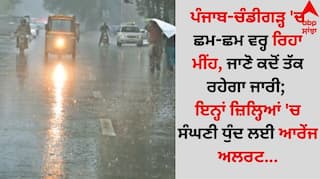 Punjab Weather: ਪੰਜਾਬ-ਚੰਡੀਗੜ੍ਹ 'ਚ ਛਮ-ਛਮ ਵਰ੍ਹ ਰਿਹਾ ਮੀਂਹ, ਜਾਣੋ ਕਦੋਂ ਤੱਕ ਰਹੇਗਾ ਜਾਰੀ; ਇਨ੍ਹਾਂ ਜ਼ਿਲ੍ਹਿਆਂ 'ਚ ਸੰਘਣੀ ਧੁੰਦ ਲਈ ਆਰੇਂਜ ਅਲਰਟ...