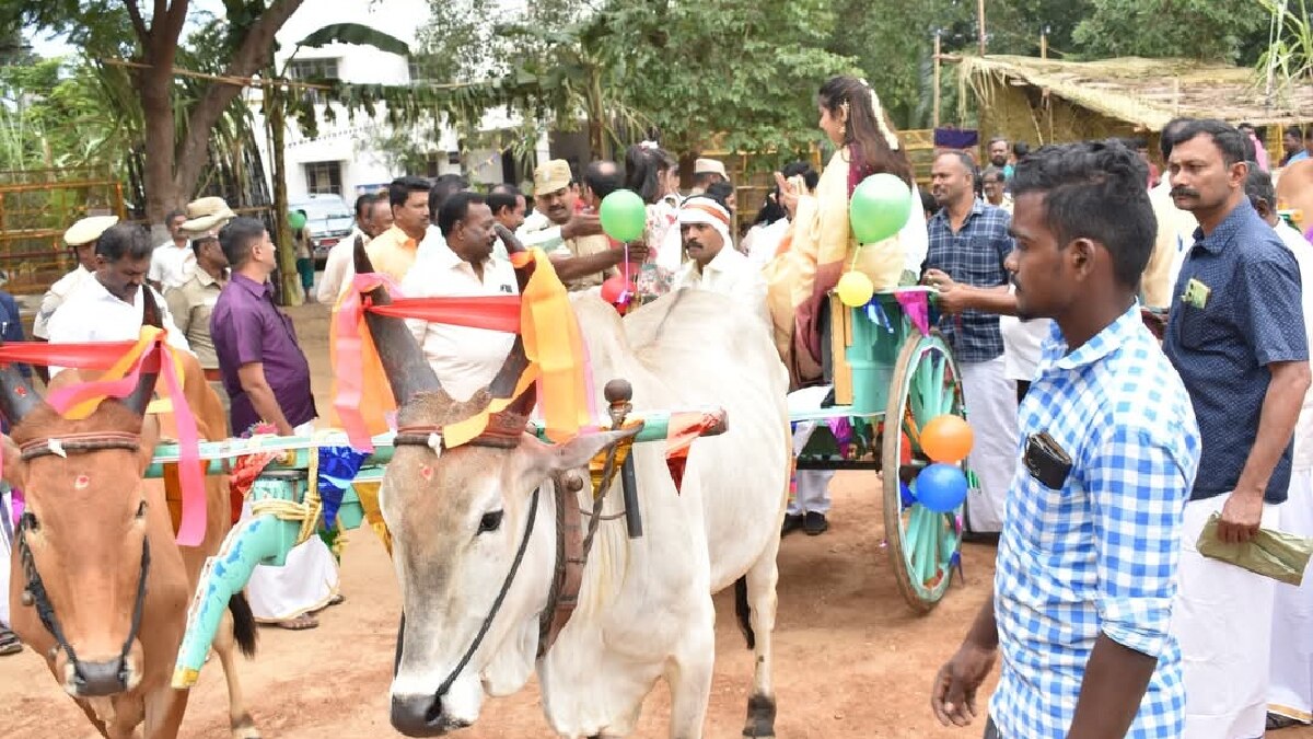 Pongal 2025: களைக்கட்டிய  சமத்துவ பொங்கல் விழா...  குடும்பத்துடன் கொண்டாடிய காவலர்கள்