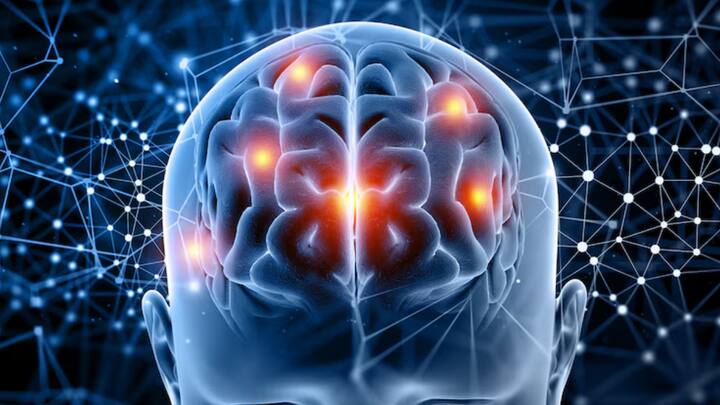 बता दें कि पुरुषों का दिमाग असल में महिलाओं से बड़ा होता है. एक औसत मानव मस्तिष्क का वजन 2.7 पाउंड या 1,200 ग्राम होता है, जो हमारे शरीर के वजन का लगभग 2 प्रतिशत होता है.