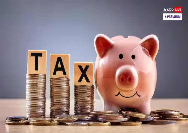This plan saves tax with 17 percent return, an excellent option for investors. ELSS: 17 ટકા વળતરની સાથે ટેક્સ બચાવે છે આ પ્લાન, રોકાણકારો માટે ઉત્તમ વિકલ્પ