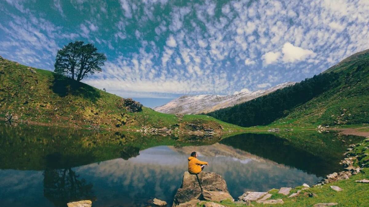 (Image Source: Twitter/ UTDBofficial)