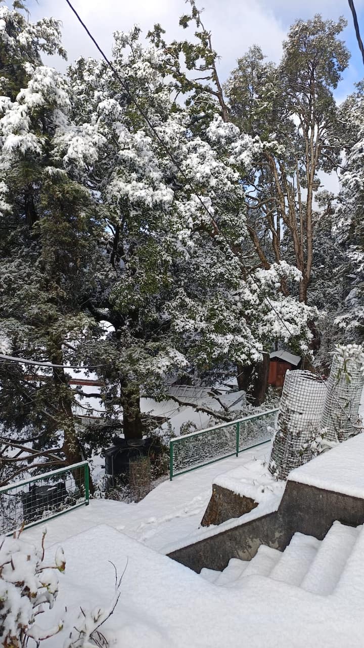 प्रदेश के नैनीताल, अल्मोड़ा, मसूरी, औली, चकराता, बद्रीनाथ धाम, केदारनाथ धाम, हेमकुंड साहिब, फूलों की घाटी सहित अन्य कई ऊंचे इलाकों में बर्फबारी होने पर्यटन कारोबार से जुड़े लोगों के चेहरे खिल उठे हैं.