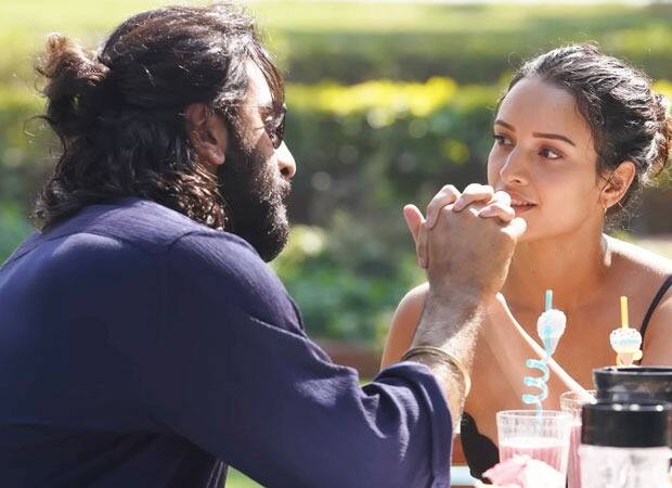 तृप्ति डिमरी को फिल्म 'एनिमल' से खूब शोहरत कमाई. इस फिल्म के बाद उन्होंने काफी रोमांटिक किरदार निभाए हैं.