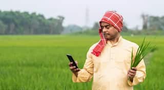 शेतकऱ्यांसाठी महत्वाची बातमी! पीक विमा भरण्यासाठी उरले फक्त 2 दिवस, कशी कराल नोंदणी?  