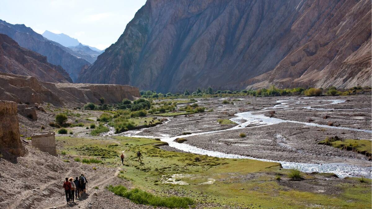 (Image Source: Twitter/ VertigoWarrior)