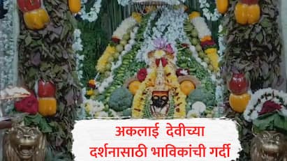 Shakambhari Purnima 2025: माळशिरस तालुक्यातील अकलूज गावचे ग्रामदैवत अकलाई देवीच्या मंदिरात शाकंभरी पौर्णिमेनिमित्त धार्मिक कार्यक्रमांचे आयोजन करण्यात आले आहे.