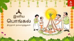 Happy Pongal 2025 Wishes: பொங்கல் வாழ்த்துகள் சொல்லிட்டிங்களா.! உங்களுக்காக டாப் 8 வாழ்த்து புகைப்படங்கள்...
