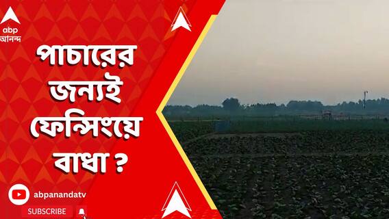কুয়াশা-অন্ধকারকে কাজে লাগিয়ে অবাধে চলছে অনুপ্রবেশ, উদ্বেগে মেখলিগঞ্জের বাসিন্দারা