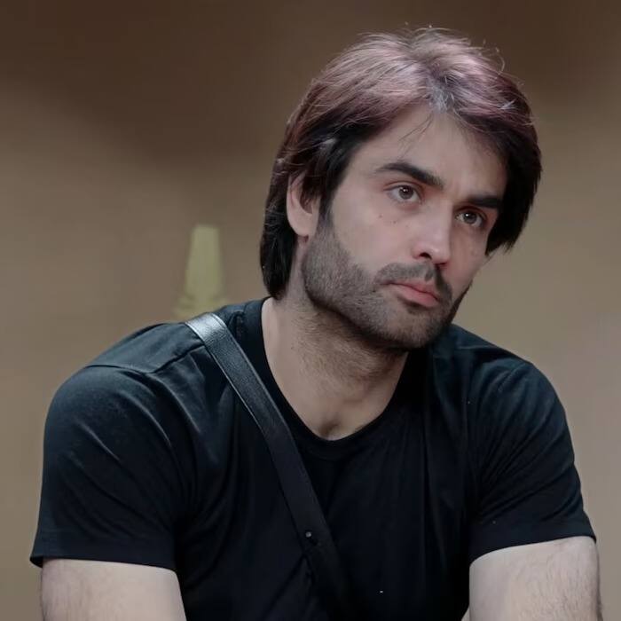 विवियन डिसेना 'प्यार की ये एक कहानी' मालिकेतून प्रेक्षकांच्या घराघरात पोहोचला. 'मधुबाला' या टीव्ही मालिकेमुळे त्याला खरी प्रसिद्धी मिळाली. त्याशिवाय त्याने 'शक्ती : अस्तित्व के एहसास की' या मालिकेतील दमदार अभिनयामुळेही प्रेक्षकांकडून कौतुकाची थाप मिळवली.