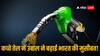 Crude Oil Price: अमेरिका के इस फैसले के चलते कच्चे तेल के दामों में आया उबाल, जानें कैसे बढ़ गई भारत की मुश्किलें!