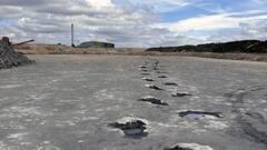 ब्रिटेन में मिला 200 पैरों के निशान वाला 'डायनासोर हाईवे', तस्वीरें देखकर नहीं आएगा यकीन